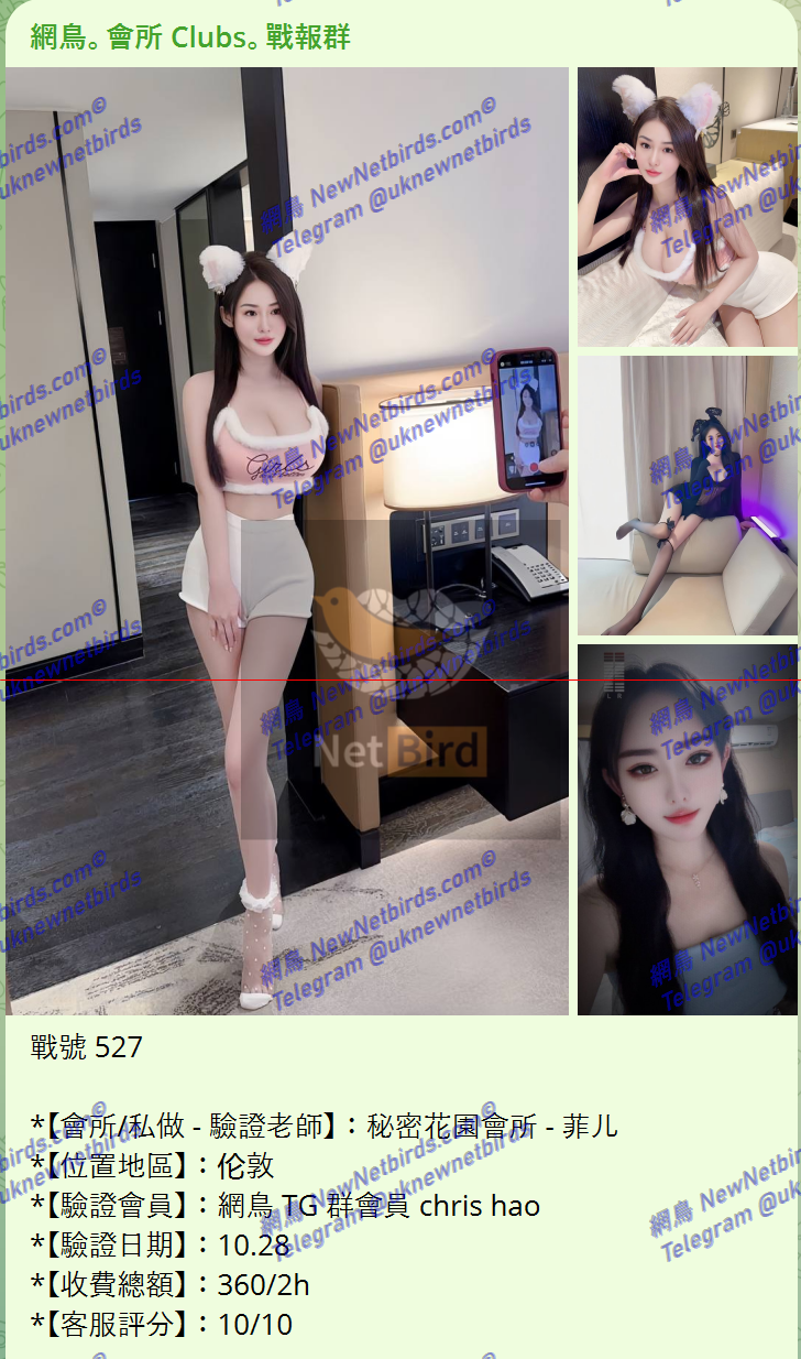 戰號 527 1.png